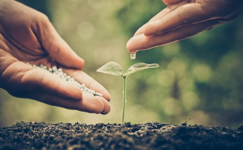 image-20161114-5069-14pp2q0